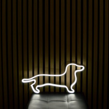 #neonjamnik #zakupneonu #wynajemneonu #happybirthday #urodziny #wystrójurodzin #urodzinowaimpreza